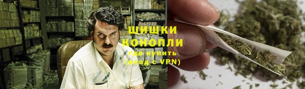 PSILOCYBIN Строитель