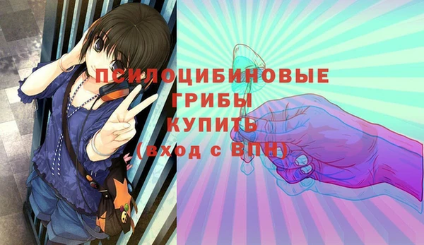 PSILOCYBIN Строитель
