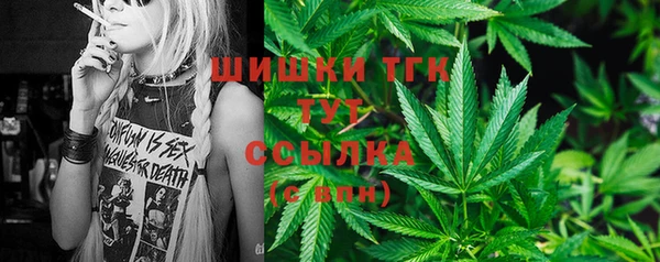 PSILOCYBIN Строитель