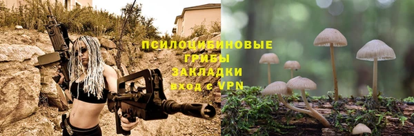 PSILOCYBIN Строитель