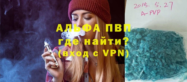 PSILOCYBIN Строитель